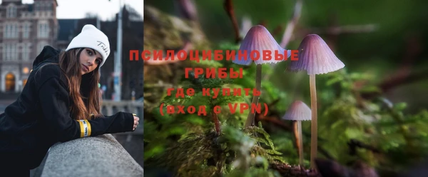 spice Беломорск