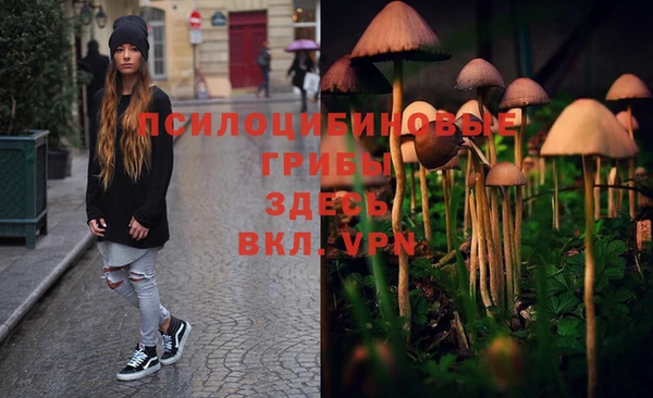 винт Белоозёрский