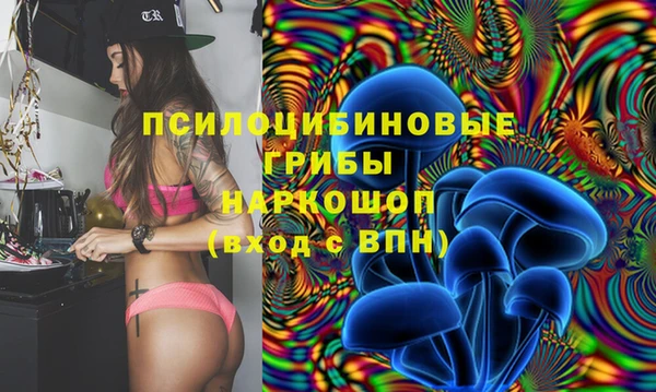 винт Белоозёрский