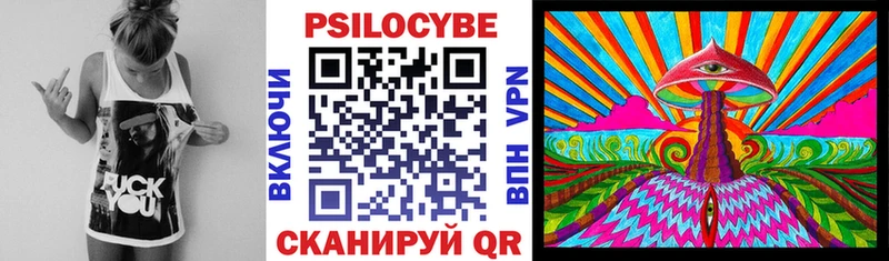 закладка  Красный Холм  МЕГА вход  Галлюциногенные грибы Cubensis 